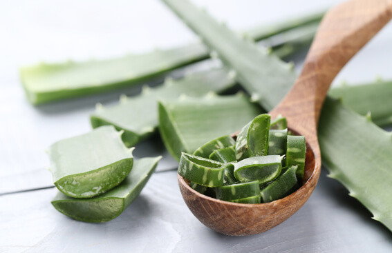 Les bienfaits de l’Aloe Vera pour la peau