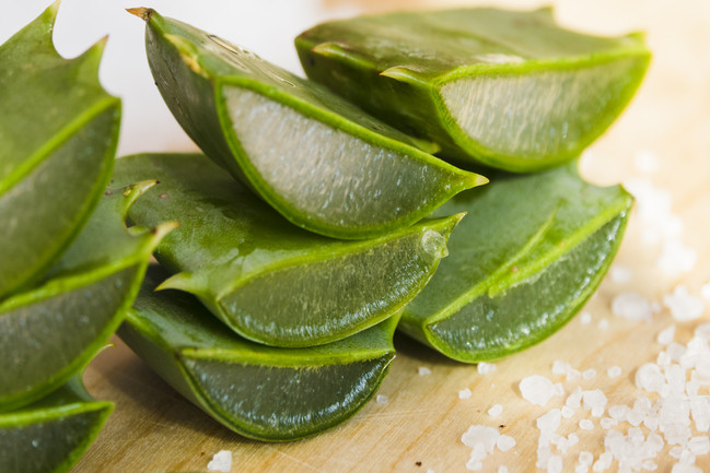 Découvrez les vertus du lait d’ânesse allié à l’Aloe Vera