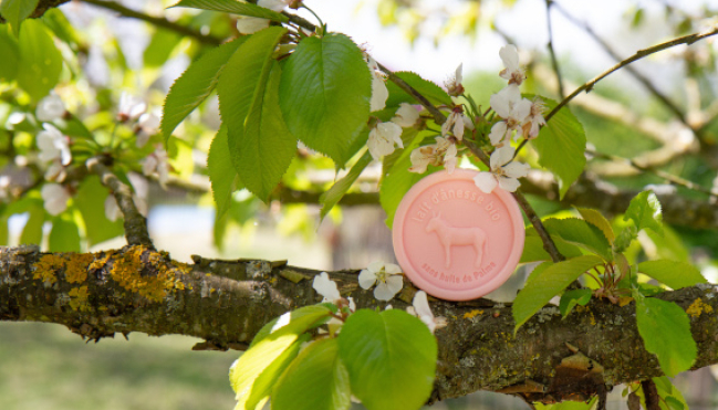 Comment bien faire sécher un savon rond pour le faire durer ?