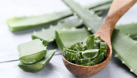 Les bienfaits de l’Aloe Vera pour la peau