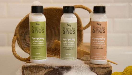 Réparer et revitaliser les cheveux abîmés avec le shampoing au lait d'ânesse
