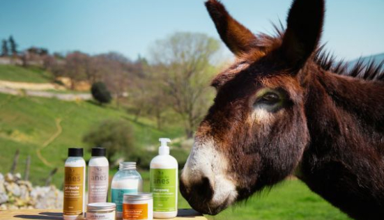 Lait d’ânesse : l’ingrédient miracle dans l’industrie cosmétique