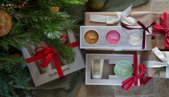 Un coffret lait d'ânesse en cadeau de Noël, le comparatif Au Pays des Ânes