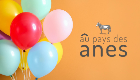 2025, l’année des 15 ans d’Au Pays des Ânes : une belle aventure à célébrer !