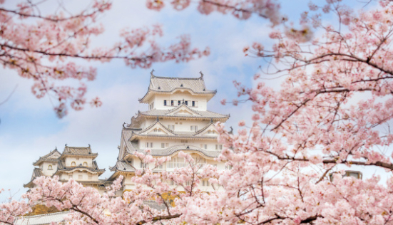 Inspirations japonaises : de la fleur de cerisier dans votre salle de bains