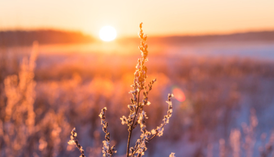 Quels sont les actifs à privilégier en hiver ?