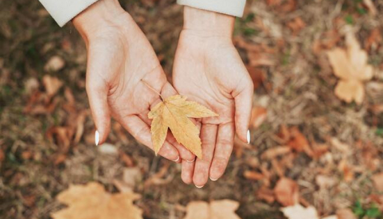 Les bons réflexes de l’automne pour une routine beauté optimale