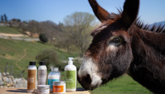 Lait d’ânesse en cosmétique : agit-il différemment sur la peau et les cheveux ?